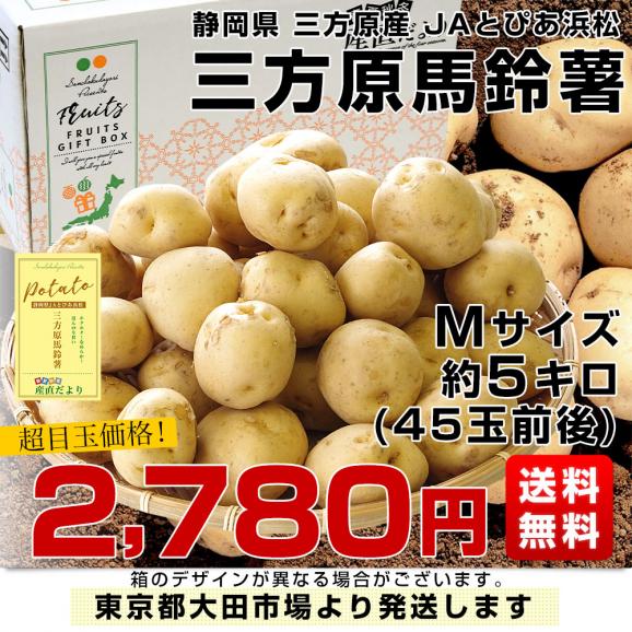 静岡県産 JAとぴあ浜松 三方原馬鈴薯（男爵） Ｍサイズ 5キロ ばれいしょ じゃがいも ジャガイモ 送料無料03