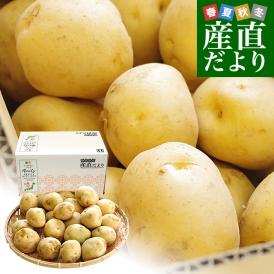 静岡県産 JAとぴあ浜松 三方原馬鈴薯 2Lサイズ 約5キロ（25玉前後） 送料無料 じゃがいも ジャガイモ