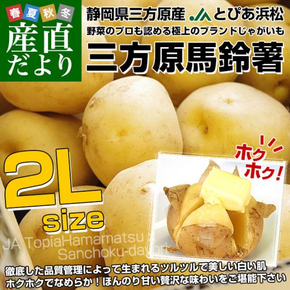 静岡県産 JAとぴあ浜松 三方原馬鈴薯 秀品 2Lサイズ　5キロ（20玉から30玉前後） 送料無料　大田市場発送品 じゃがいも ジャガイモ02