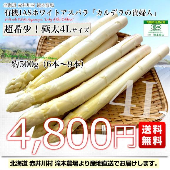 北海道より産地直送 赤井川村滝本農場の有機JASホワイトアスパラ「カルデラの貴婦人」 超極太4Lサイズ 約500g入り 送料無料 アスパラガス ※クール便発送03