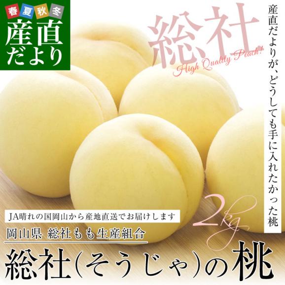 岡山県から産地直送　JA晴れの国岡山　総社もも生産組合　総社(そうじゃ)の桃　青秀以上　約2キロ(６玉から9玉) もも モモ02