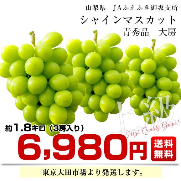 山梨県産 JAふえふき 御坂支所 シャインマスカット 大房限定 青秀品 約1.8キロ(3房入り)送料無料 クール便 葡萄 ぶどう03