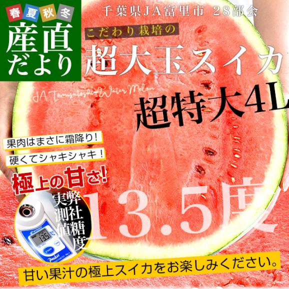 千葉県　JA富里市西瓜部28部会　大玉すいか（紅大）9キロ以上　4Lサイズ　1玉　送料無料　スイカ　すいか　西瓜　市場発送02