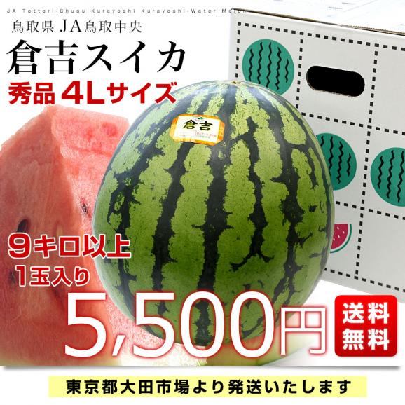 千葉県　JA富里市西瓜部28部会　大玉すいか（紅大）9キロ以上　4Lサイズ　1玉　送料無料　スイカ　すいか　西瓜　市場発送03