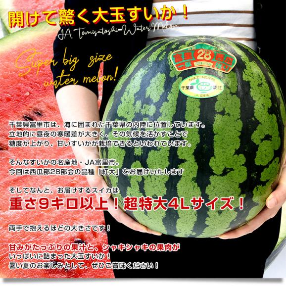 千葉県　JA富里市西瓜部28部会　大玉すいか（紅大）9キロ以上　4Lサイズ　1玉　送料無料　スイカ　すいか　西瓜　市場発送04