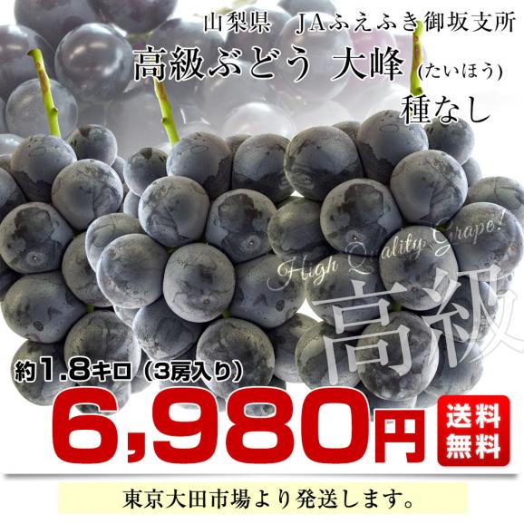 山梨県産　JAふえふき御坂支所　大峰（たいほう）約1.8キロ(3房入り)　黒葡萄　送料無料　クール便　ぶどう　ブドウ　葡萄　市場発送03