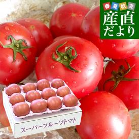 夏の大地北海道から！激アマのスーパーフルーツトマト！！