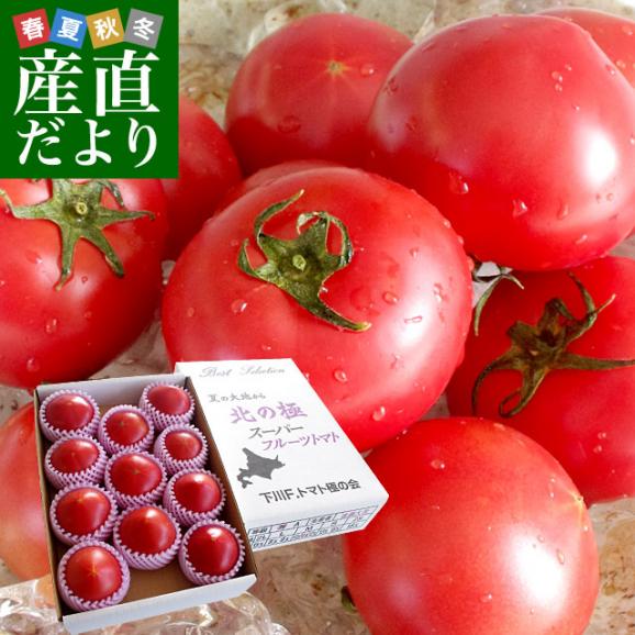 北海道より産地直送 下川町のスーパーフルーツトマト ＜北の極＞ 秀品 約800g　LからSサイズ（8玉から15玉）送料無料 とまと01