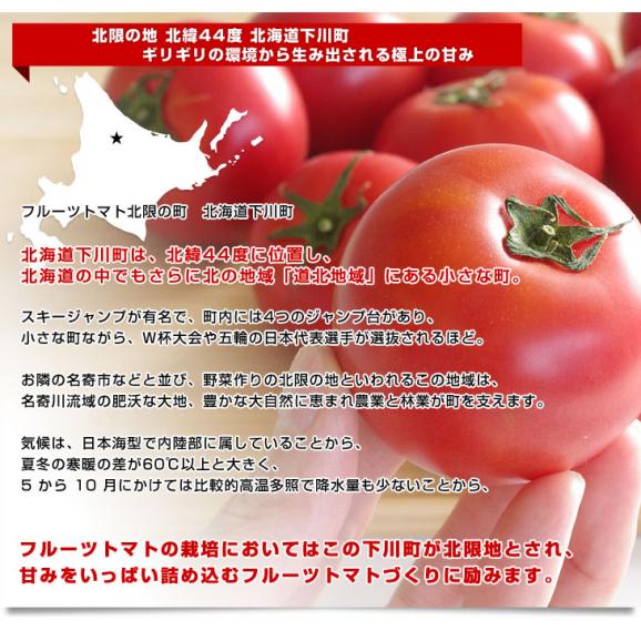 北海道より産地直送 下川町のスーパーフルーツトマト ＜北の極＞ プレミアム 約800g化粧箱　LからSサイズ（8玉から15玉）送料無料 とまと04