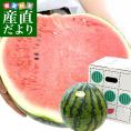 【緊急スポット】熊本県 JAかもと 超大玉すいか 9キロ以上（1玉）4Lサイズ 秀品 送料無料 スイカ 西瓜 鹿本