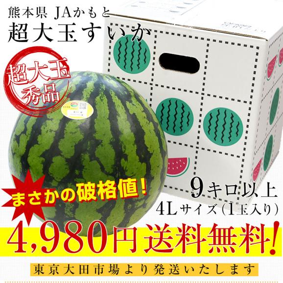 熊本県産 JAかもと 超大玉すいか 9キロ以上（1玉）4Lサイズ 秀品 送料無料 スイカ 西瓜 鹿本03