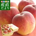 山梨県JA南アルプス市 南アルプスの桃 光甘度(こうかんど)  上級品　特青秀　約1.5キロ (6玉入り) 送料無料　市場発送 桃　もも