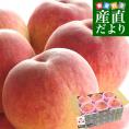 山梨県JA南アルプス市 南アルプスの桃 光甘度(こうかんど) 特赤秀品以上 大玉 約1.8キロ (5玉から6玉) 送料無料 桃