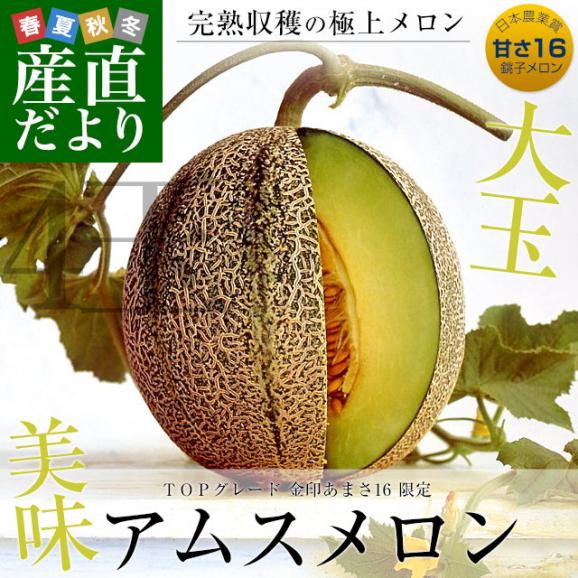 千葉県産 JAちばみどり アムスメロン 金印16 大玉 約5キロ（4玉から5玉） 送料無料 めろん 市場スポット02