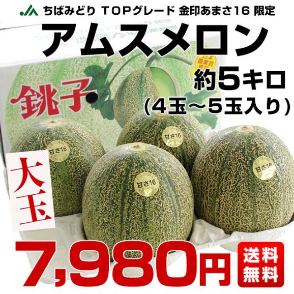 千葉県産 JAちばみどり アムスメロン 金印16 大玉 約5キロ（4玉から5玉） 送料無料 めろん 市場スポット03