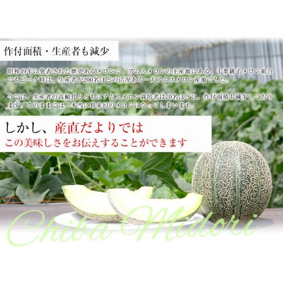 千葉県産 JAちばみどり アムスメロン 金印16 大玉 約5キロ（4玉から5玉） 送料無料 めろん 市場スポット04