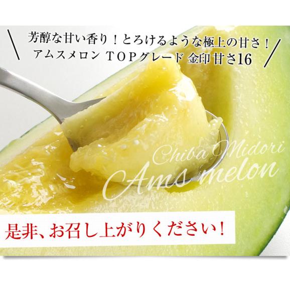 千葉県産 JAちばみどり アムスメロン 金印16 大玉 約5キロ（4玉から5玉） 送料無料 めろん 市場スポット06