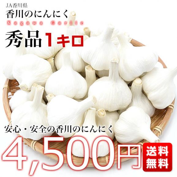 香川県から産地直送 JA香川県 ニンニク 秀品 約1キロ (目安として27玉前後) 送料無料  香川にんにく 大蒜 葫 讃岐 さぬき03