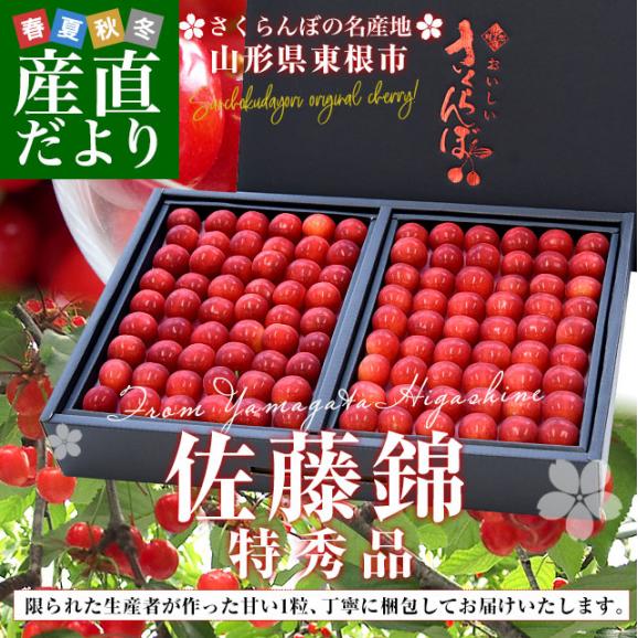 山形県より産地直送 さくらんぼ佐藤錦 特秀品Ｌサイズ　約600g化粧箱 (約300g×2P入) 送料無料 クール便　サクランボ　桜桃　お中元　ギフト02