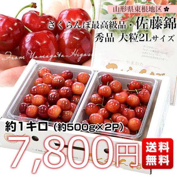 山形県より産地直送 さくらんぼ　佐藤錦 秀品　2Ｌサイズ 約1キロ(500g×2パック) 送料無料 クール便　サクランボ　桜桃　お中元　ギフト03