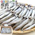 鹿児島県山田水産より発送　鹿児島県加工　サイズ無選別　子持ちカラフトシシャモ（アイスランド産）1キロ（60尾前後）※クール冷凍便　送料無料　ししゃも　シーフード
