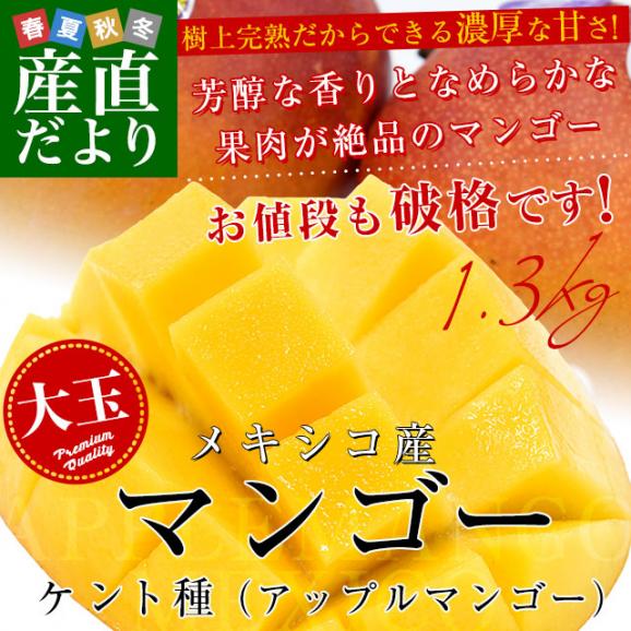 メキシコ産 アップルマンゴー（ケント種）約1.3キロ（3玉入り） 送料無料 クール便 まんごー マンゴー 市場発送02