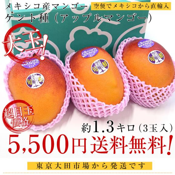 メキシコ産 アップルマンゴー (ケント種) 約1.3キロ (3玉入り) 送料無料 クール便 まんごー マンゴー03