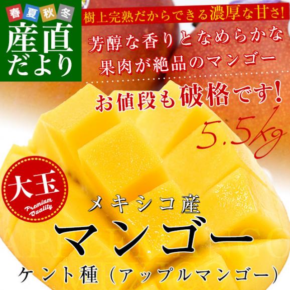 メキシコ産 アップルマンゴー（ケント種）約5.5キロ原体箱（12玉から14玉入り） 送料無料 クール便 まんごー マンゴー 市場発送02