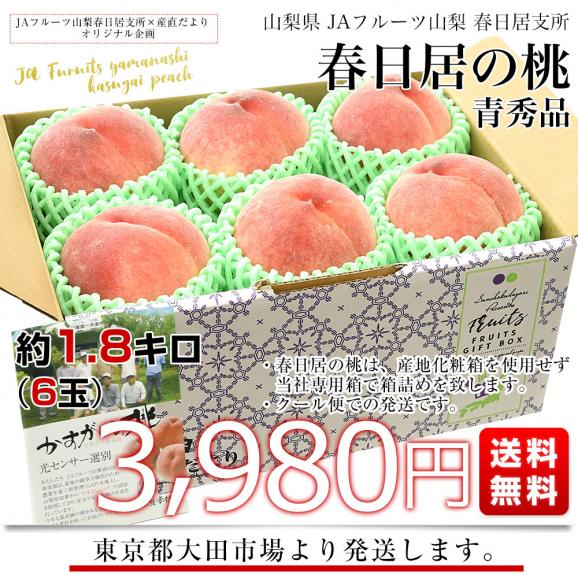 山梨県産 JAフルーツ山梨 春日居支所 春日居の桃 青秀品 約1.8キロ(6玉) 送料無料 もも モモ ピーチ ギフト 夏ギフト お中元 御中元 クール便03