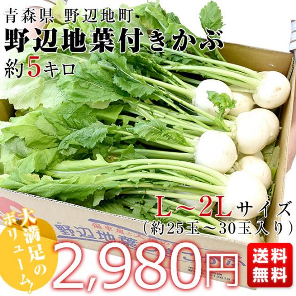 青森県産 野辺地葉付きカブ 約5キロ Lから2Lサイズ（約25玉から30玉入り）送料無料 かぶ 株 野菜 クール便03