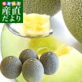 茨城産 JA常総ひかり タカミメロン 約5キロ 3LからLサイズ (4玉から6玉)  送料無料 メロン 貴味メロン たかみメロン 市場発送