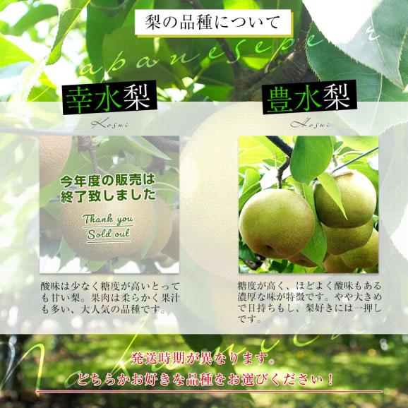 山梨県より産地直送 JAふえふき中道支所 選べる中道の梨（幸水梨／豊水梨）青秀品　約2キロ（5玉から6玉）送料無料 ナシ なし05