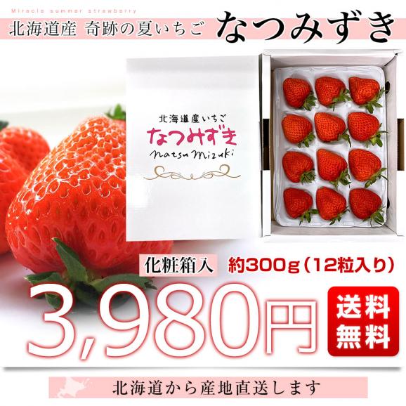北海道より産地直送 高級いちご なつみずき　約300g（12粒）化粧箱入り イチゴ 苺 夏イチゴ03