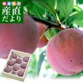 山梨県より産地直送 JAふえふき中道支所 プラム 皇寿 大玉サイズ 約1.7キロ（6玉から8玉）送料無料 ぷらむ 李 スモモ