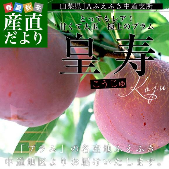 山梨県より産地直送 JAふえふき中道支所 プラム 皇寿 大玉サイズ 約1.7キロ（6玉から8玉）送料無料 ぷらむ 李 スモモ02