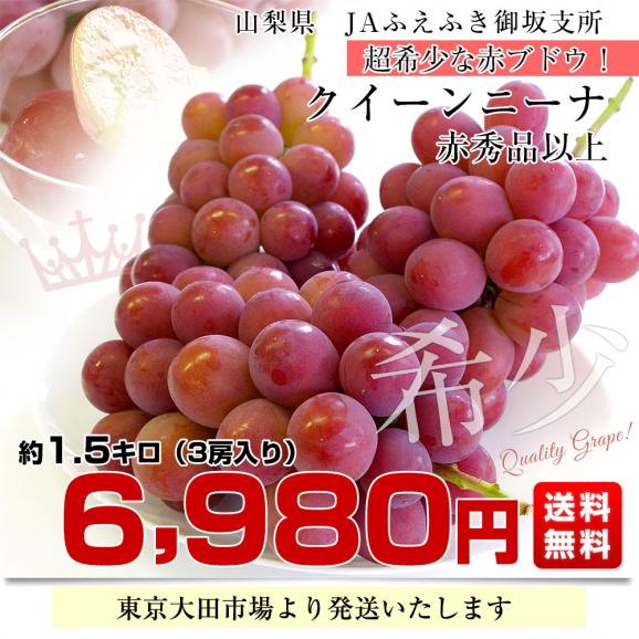 山梨県産 JAふえふき 御坂支所 クイーンニーナ 赤秀品以上 約1.5キロ（3房入り）送料無料　赤ぶどう 葡萄 種なしぶどう クール便 市場発送03