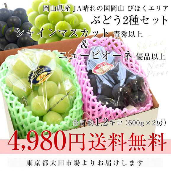 岡山県産 JA晴れの国岡山 びほくエリア シャインマスカット 青秀以上＆ニューピオーネ 優品以上 大房 合計 約1.2キロ (2房）送料無料 ぶどう ※クール便03