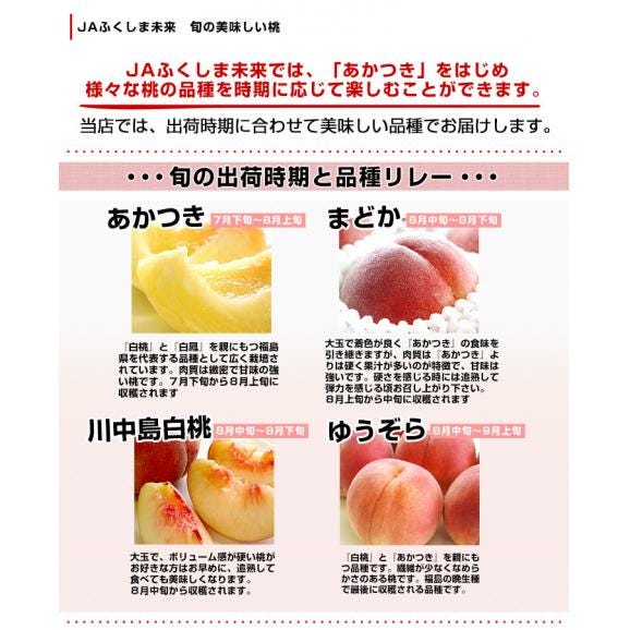 福島県より産地直送 JAふくしま未来 秀品桃 ミスピーチ 約2キロ×2箱セット   (5玉から9玉×2箱) 送料無料 もも 桃05