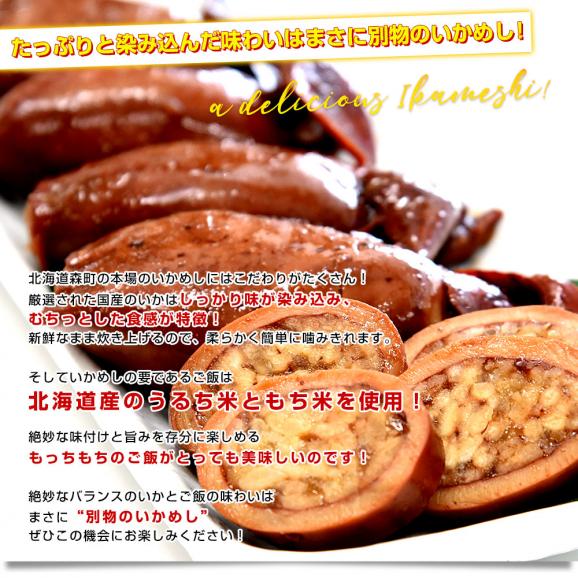 北海道産 ひとくちいかめし 1袋 約500g 送料無料 いか飯 レンジ調理惣菜05