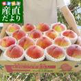 山梨県産 JAフルーツ山梨の桃（なつっこ他） 青秀品 大玉約5キロ（15玉から16玉）送料無料 もも 桃 市場スポット クール便 