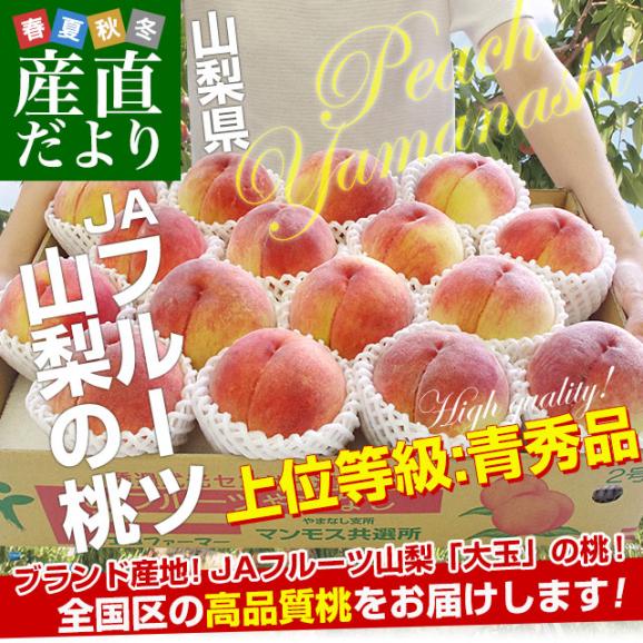 山梨県産 JAフルーツ山梨の桃（なつっこ他） 青秀品 大玉約5キロ（15玉から16玉）送料無料 もも 桃 市場スポット クール便 02