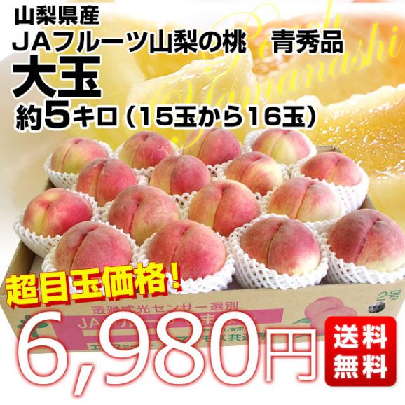 山梨県産 JAフルーツ山梨の桃（なつっこ他） 青秀品 大玉約5キロ（15玉から16玉）送料無料 もも 桃 市場スポット クール便 03