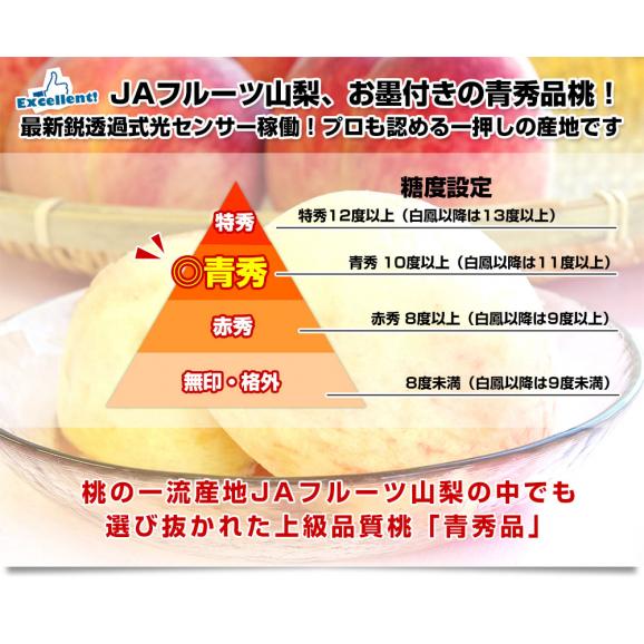 山梨県産 JAフルーツ山梨の桃（なつっこ他） 青秀品 大玉約5キロ（15玉から16玉）送料無料 もも 桃 市場スポット クール便 04