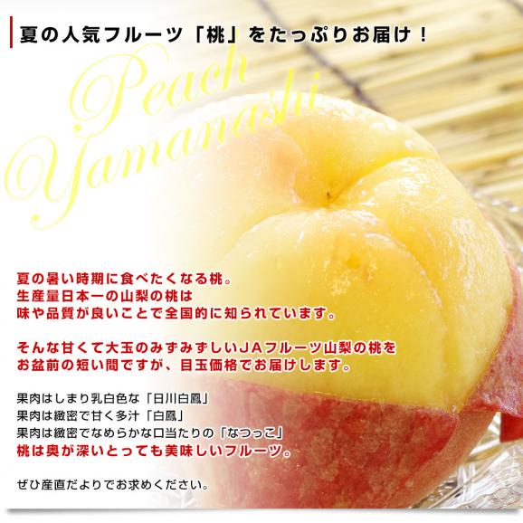 山梨県産 JAフルーツ山梨の桃（なつっこ他） 青秀品 大玉約5キロ（15玉から16玉）送料無料 もも 桃 市場スポット クール便 06