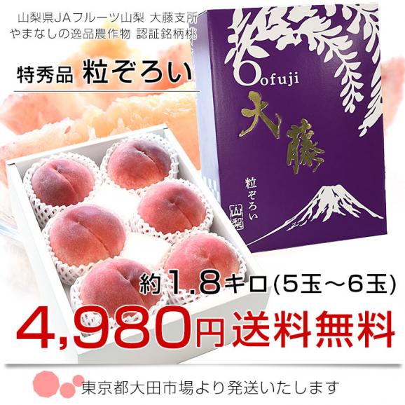 山梨県 JAフルーツ山梨 大藤支所 大藤の特秀桃「粒ぞろい」 約1.8キロ (5玉から6玉) 送料無料 桃 もも 市場発送03