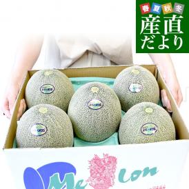 青森県産 五所川原地区 大玉 デリシィメロン 秀品 合計約8キロ （5玉から6玉入り） 原体箱 メロン めろん 送料無料 市場発送