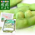 山形県から産地直送 JA鶴岡 殿様のだだちゃ豆 約1.5キロ 送料無料 枝豆 おつまみ クール便