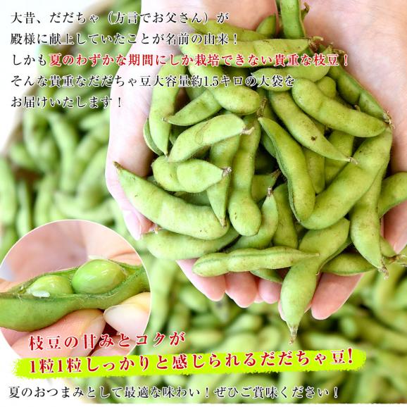 山形県から産地直送 JA鶴岡 殿様のだだちゃ豆 約1.5キロ 送料無料 枝豆 おつまみ クール便05