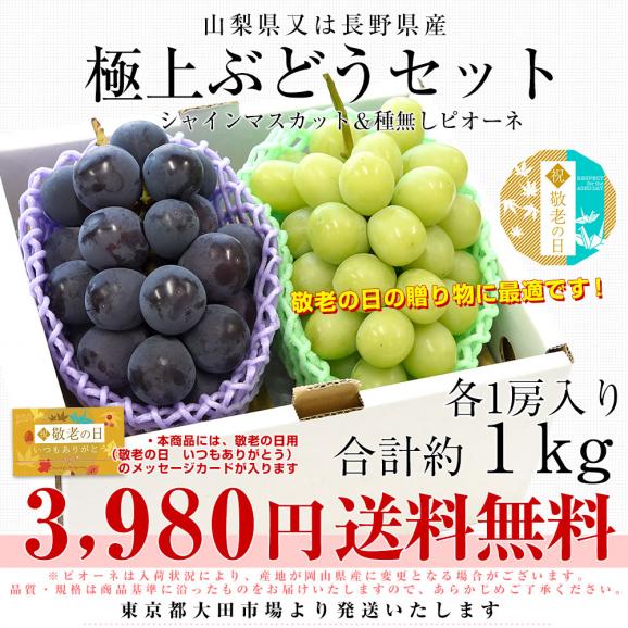 【遅れてごめんね敬老の日ギフト】山梨県又は長野県産 シャインマスカット&種なしピオーネ 秀品 各1房入り 合計約1キロ 送料無料 ブドウ ぶどう 葡萄 メッセージカード付き クール便03