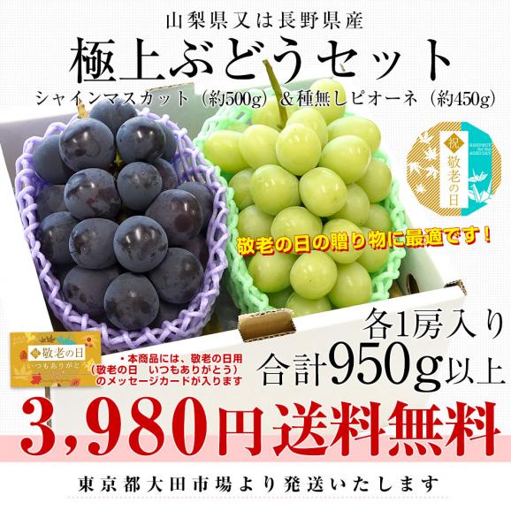 【敬老の日ギフト】山梨県又は長野県産 シャインマスカット(約500g)＆種なしピオーネ(約450g) 極上・秀品 各1房入り 合計950g以上 送料無料 ブドウ ぶどう 葡萄 メッセージカード付き ク03